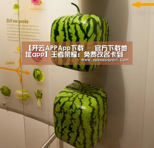 开云APPApp下载 - 官方下载地址官网